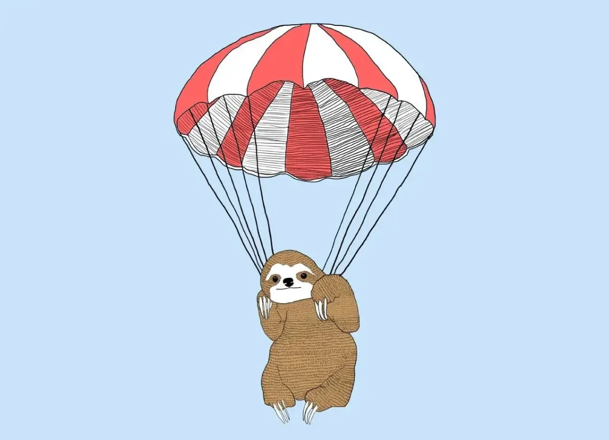 Звери на парашюте