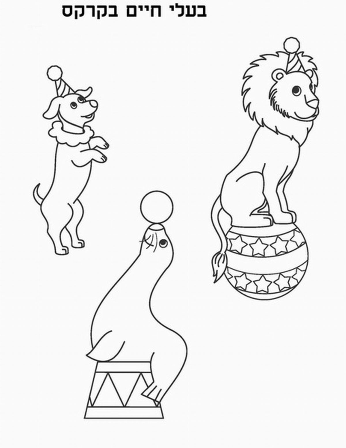 Зарисовки на тему цирк