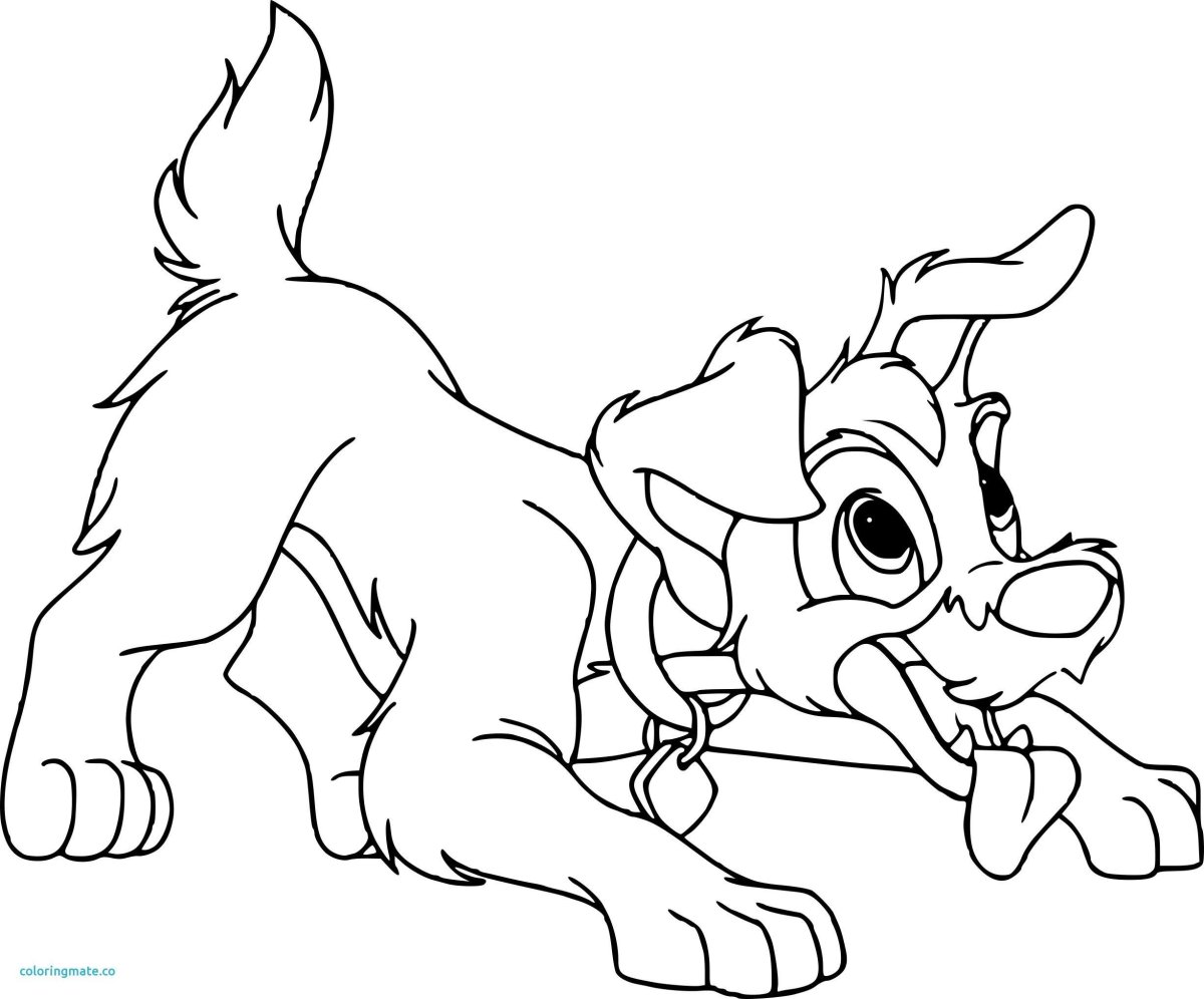 Раскраски леди и Бродяга 2 Энджел