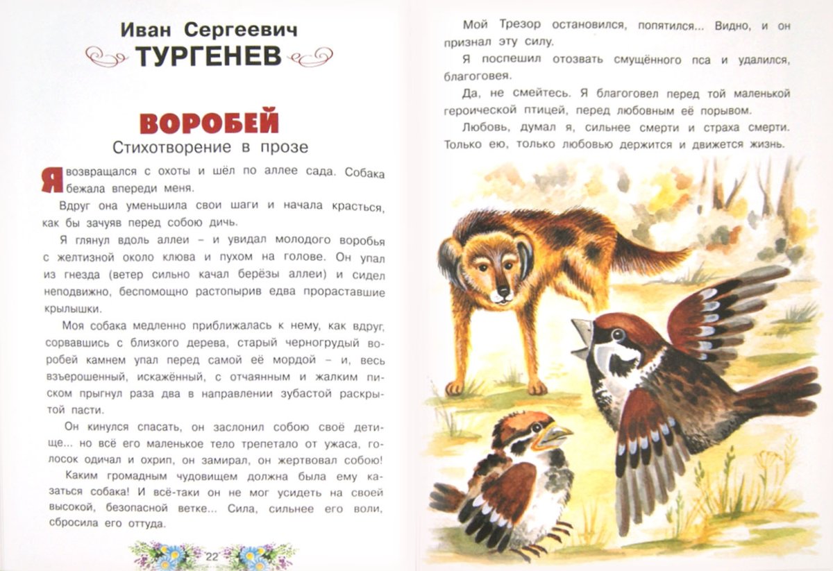 Горький Воробьишко иллюстрации Чарушина