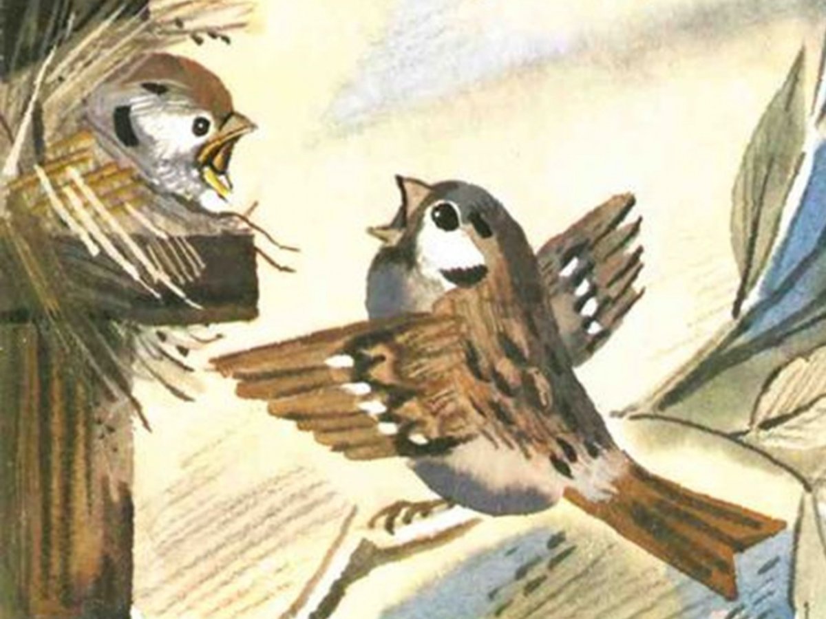 Тургенев Воробей