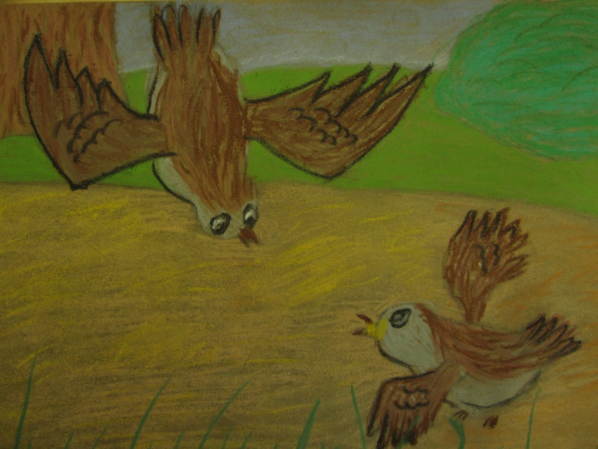 Стрижонок скрип читательский дневник 3 класс рисунок