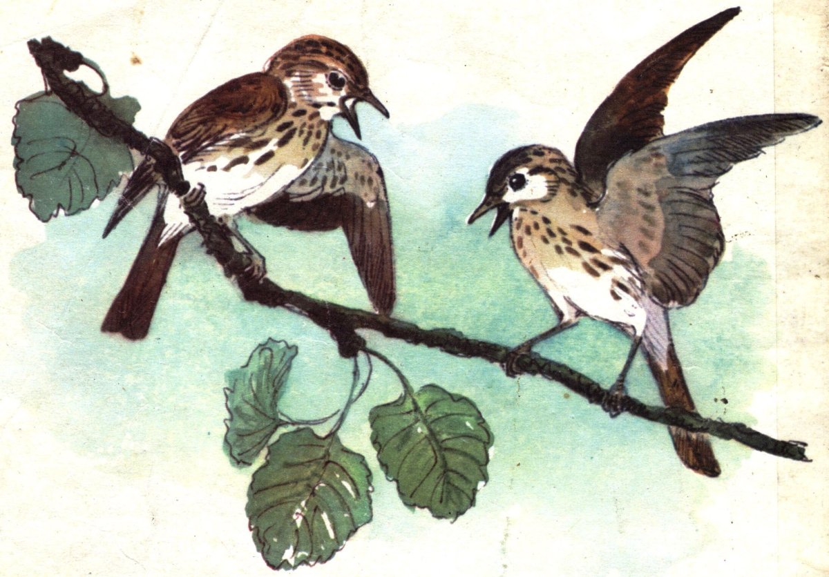 Воробьи картины художников