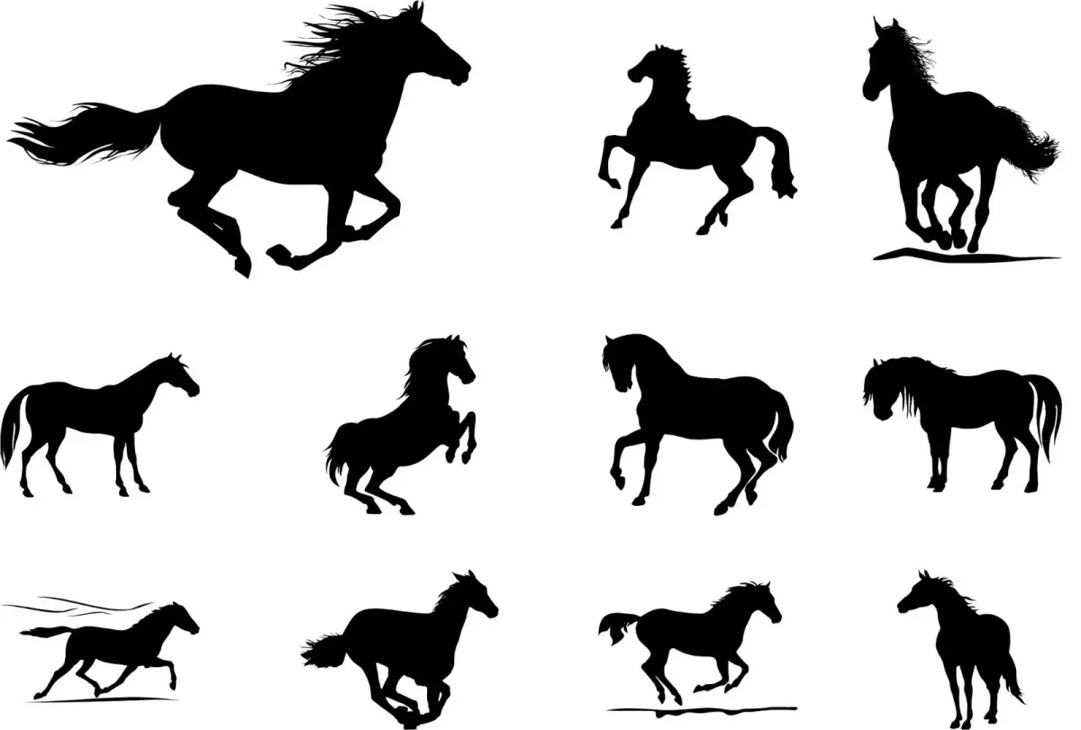 Силуэт лошади