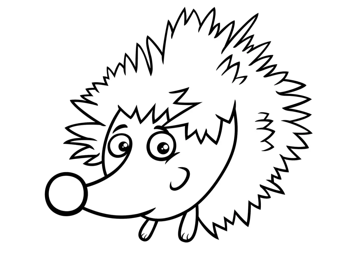 Ежик вектор