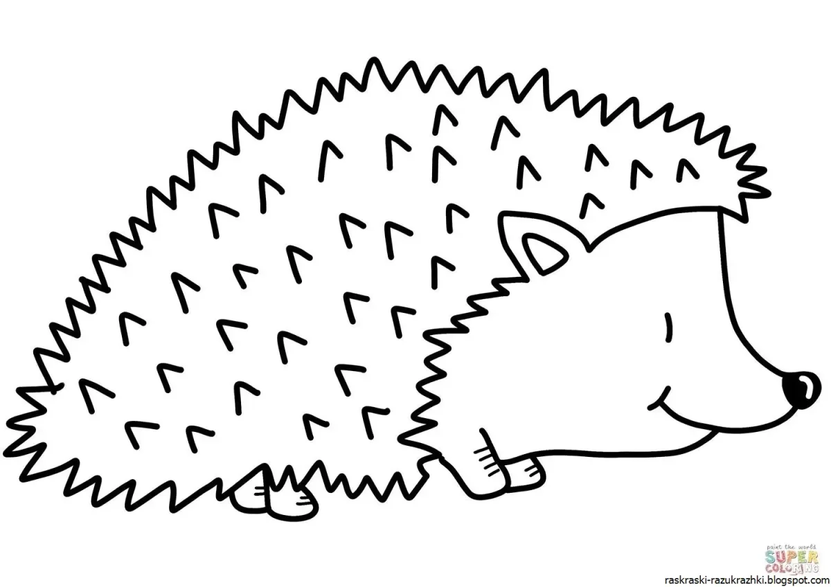 Ежик в лесу раскраска для детей