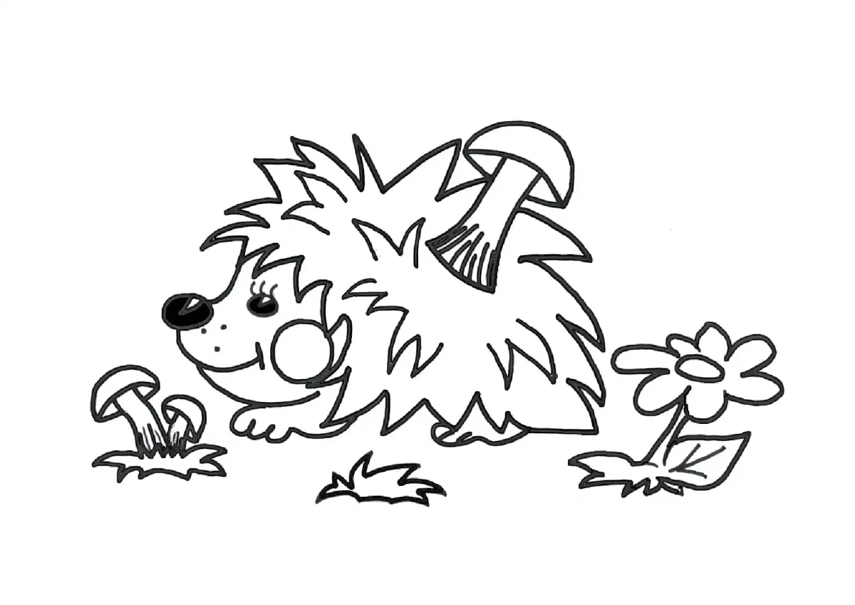 Раскраска Ёжик
