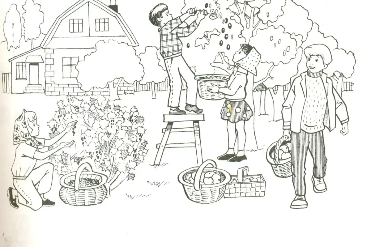 Сад раскраска для детей