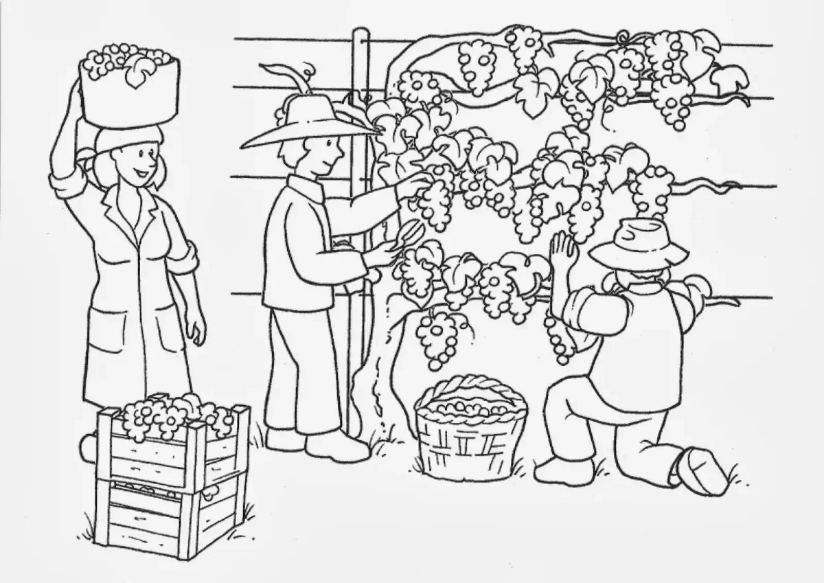 Раскраски для девочек яблоко