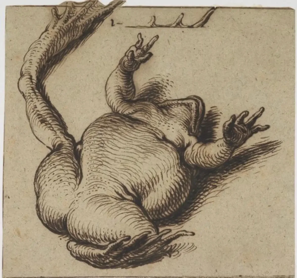 Наброски животных Рембрандт офорт