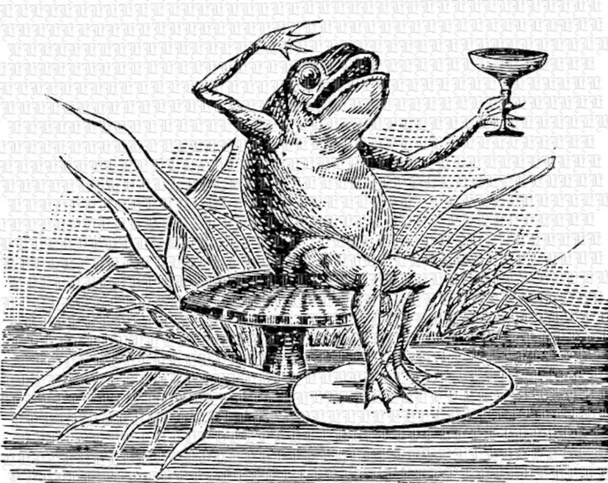 Лягушка просящая царя легкая иллюстрация