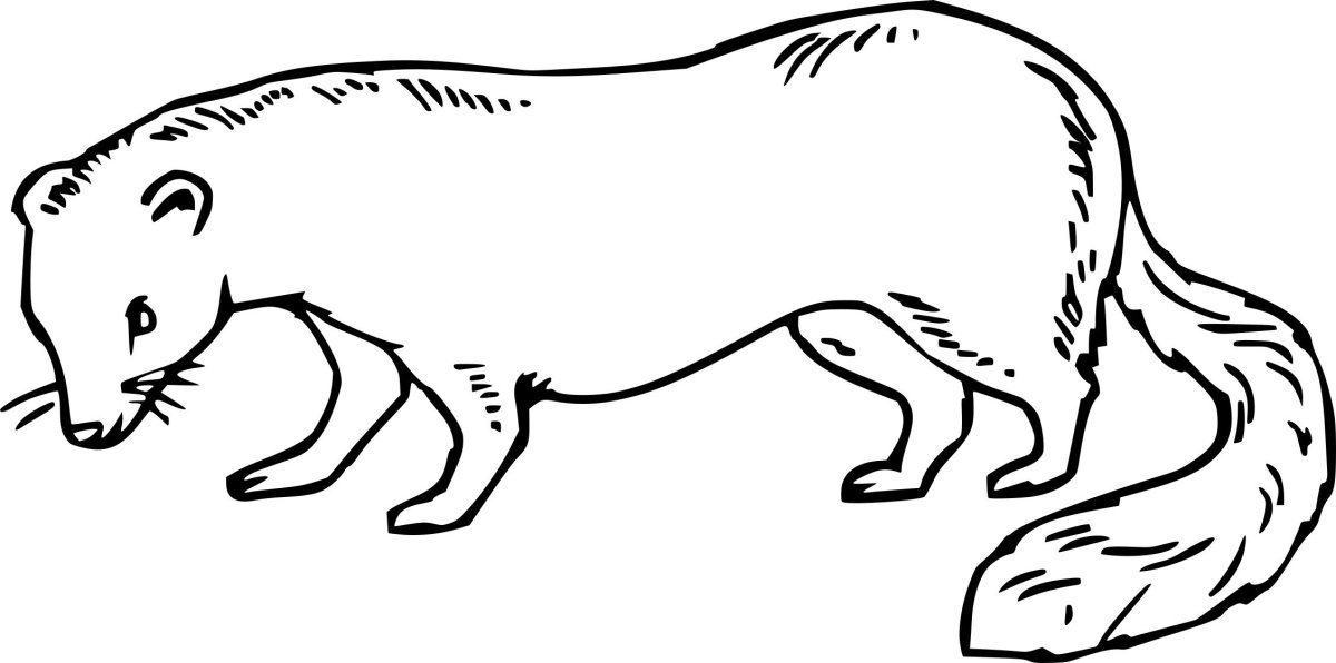 Норка раскраска для детей