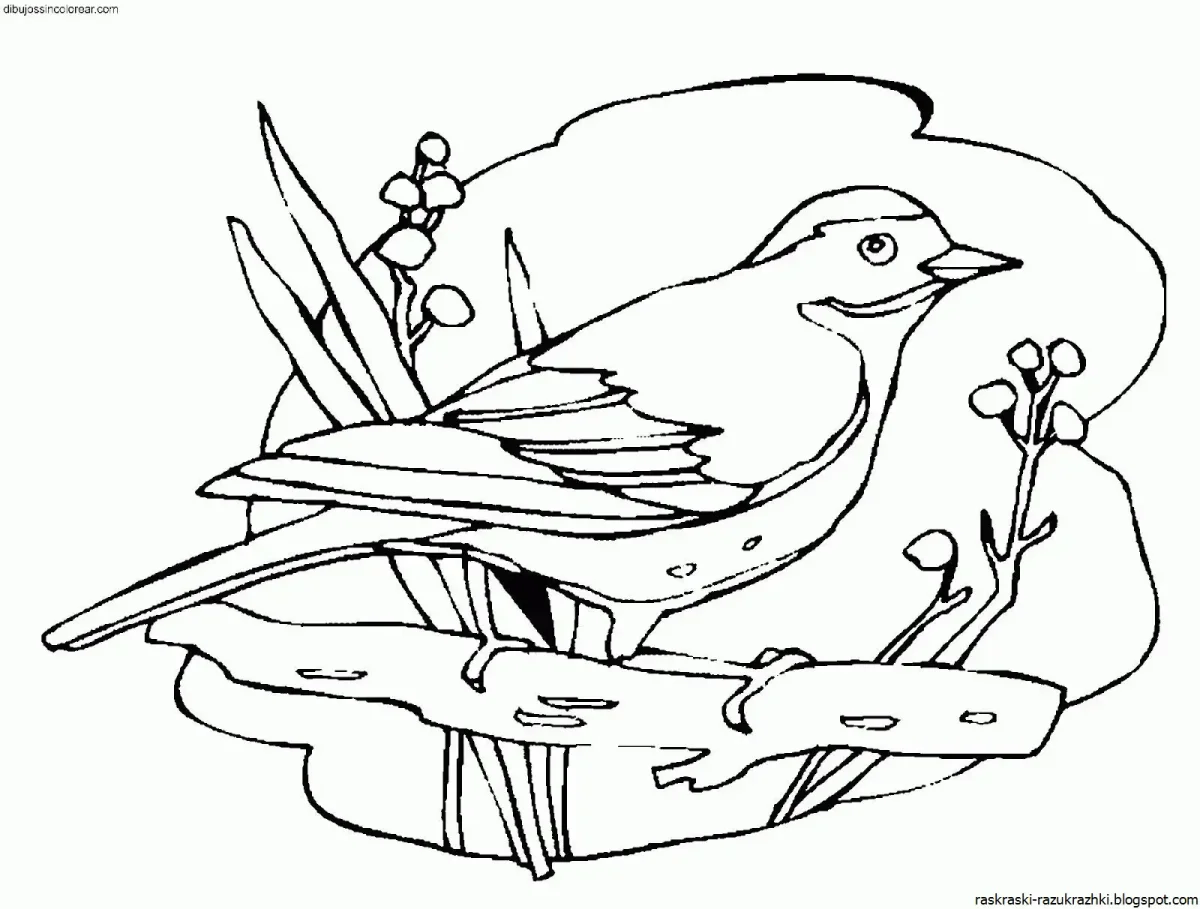 Жаворонки раскраска