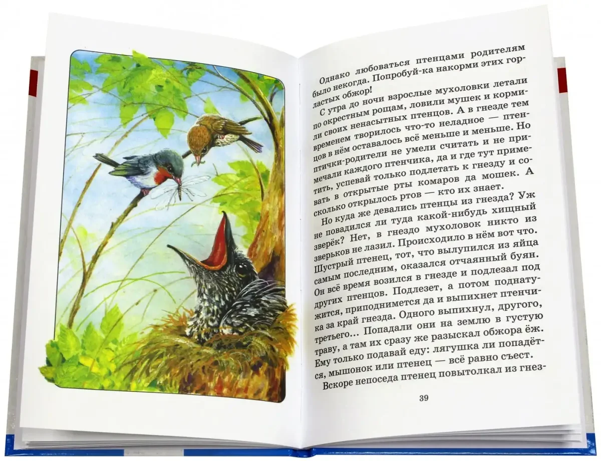 Раскраска. Весна