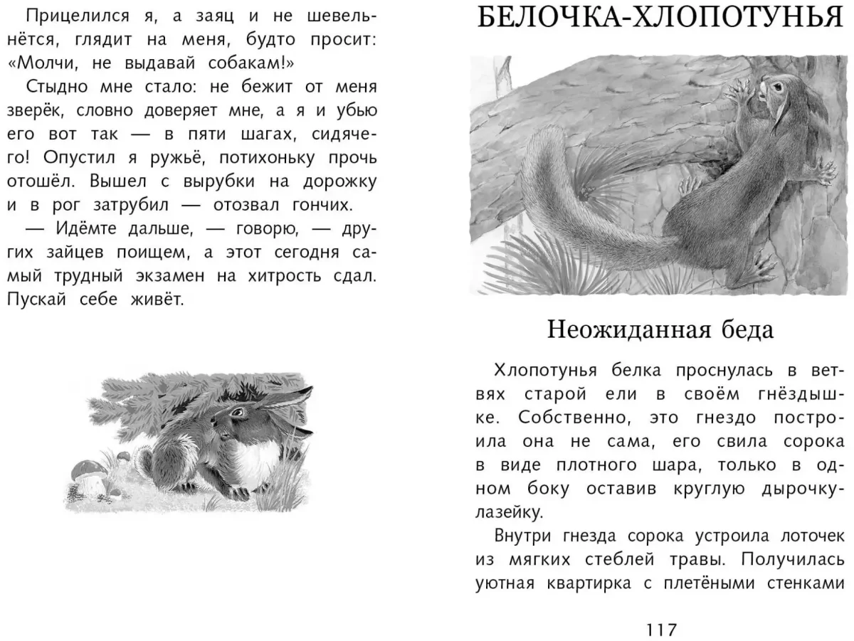 Раскраска животные заяц