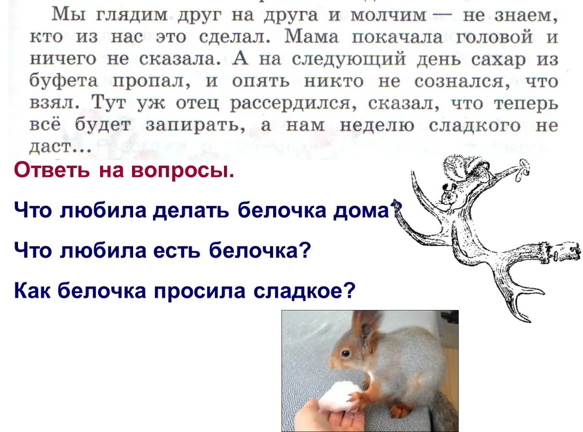 Раскраска животные леса