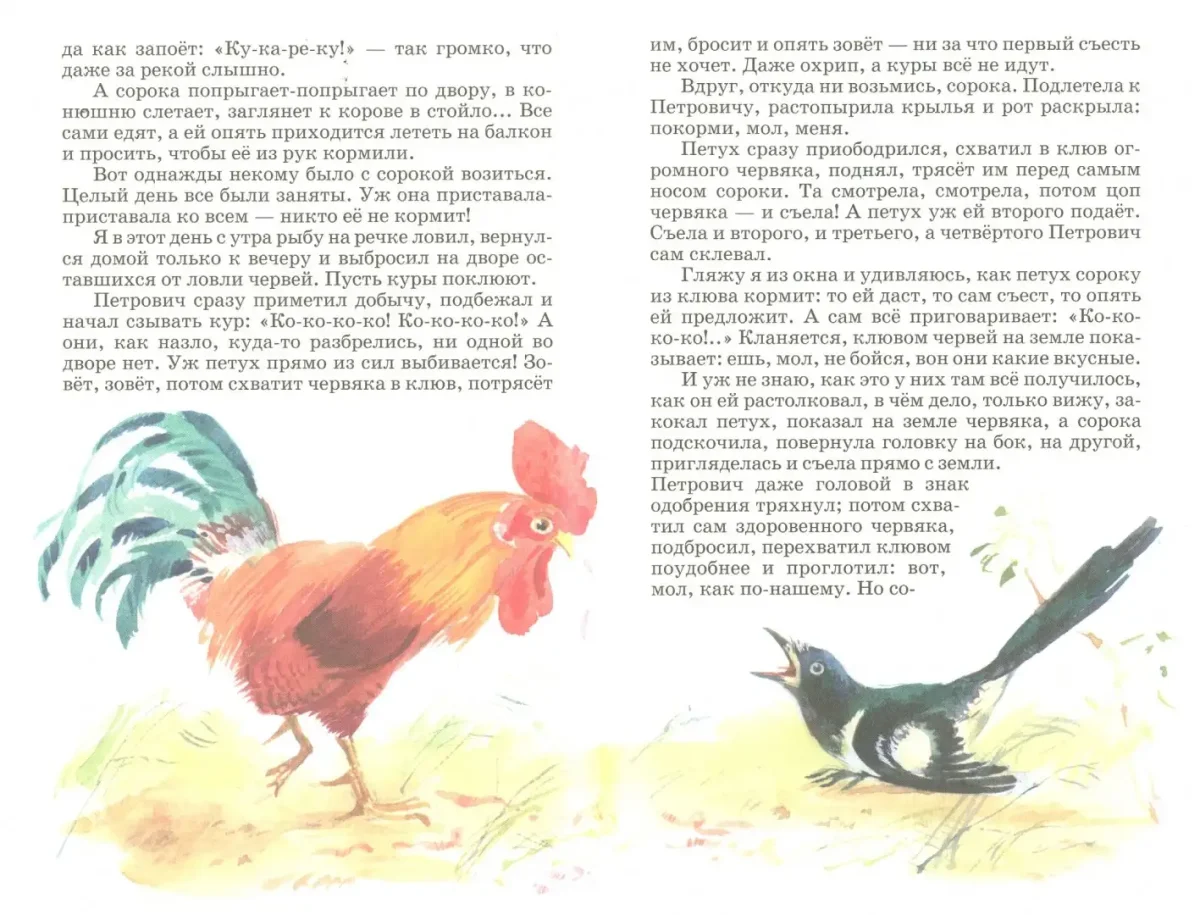 Лемминги морская Свинка