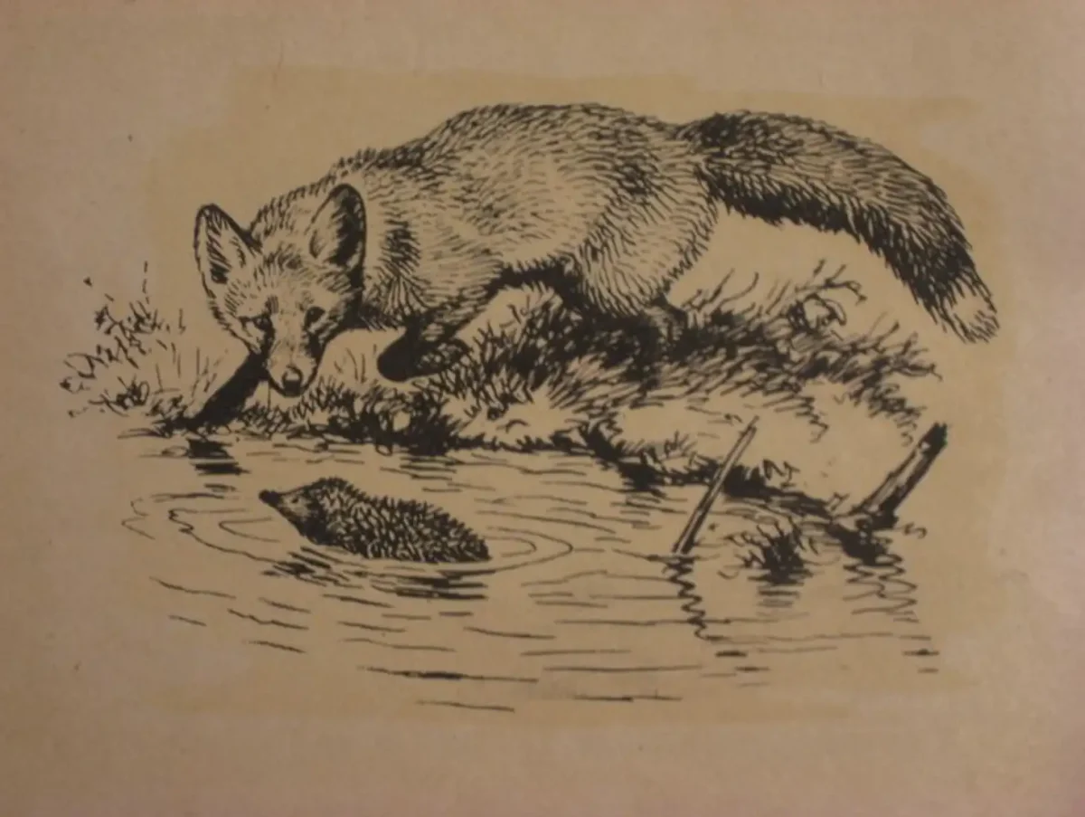 Раскраска Медвежонок в лесу