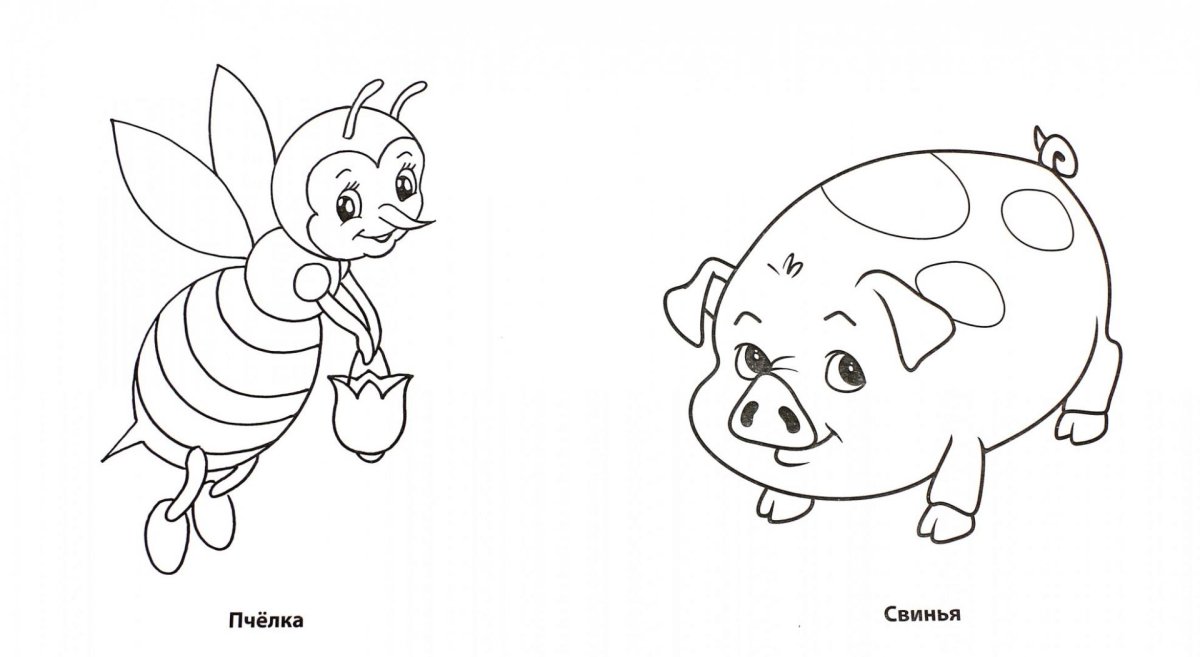 Раскраски для малышей