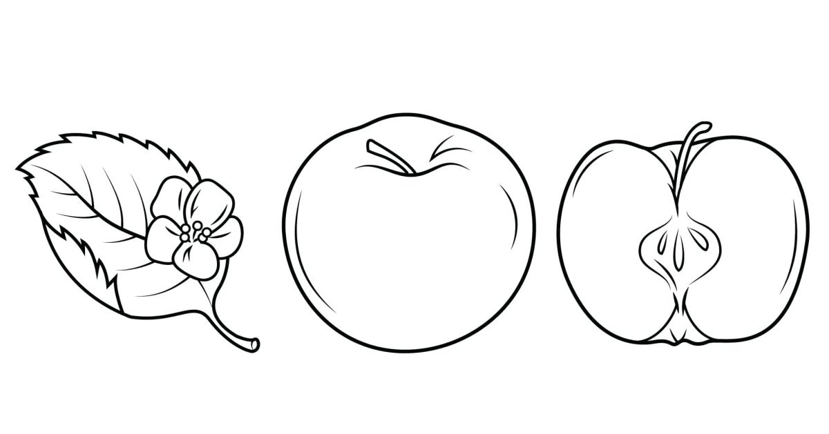 Яблоко раскраска