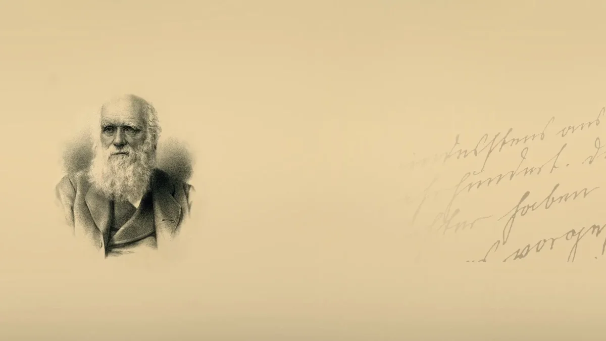 Дэвид Копперфильд Чарльз Диккенс рисунки