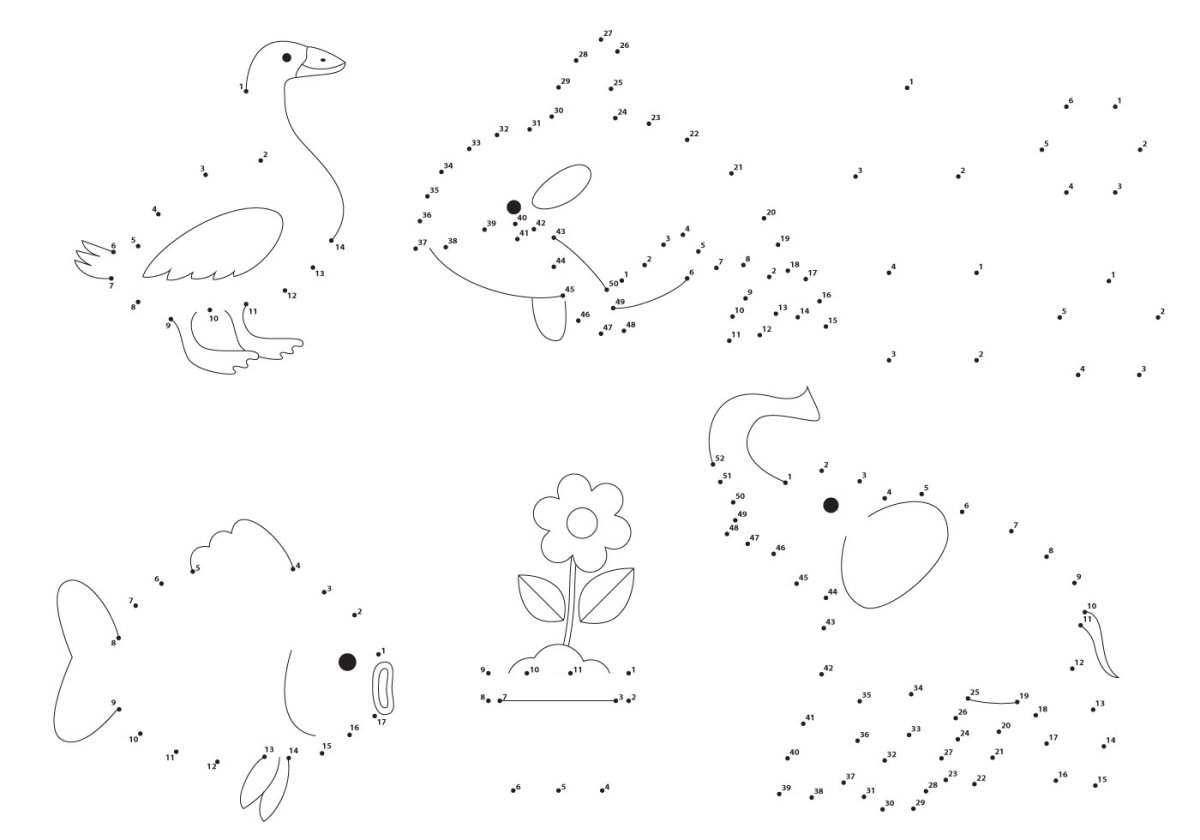 Картинка по точкам с номерами котик с уткой