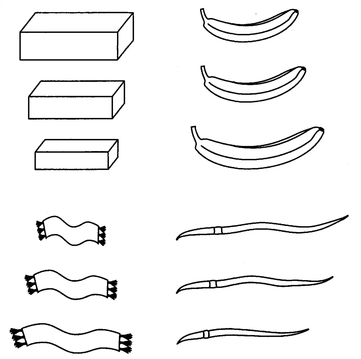 Дорожки задания для дошкольников