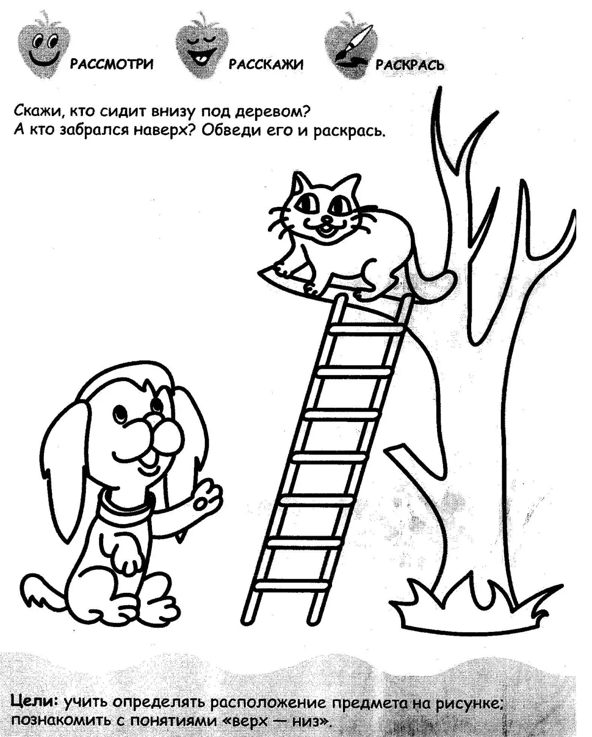 Автомобиль задания для детей