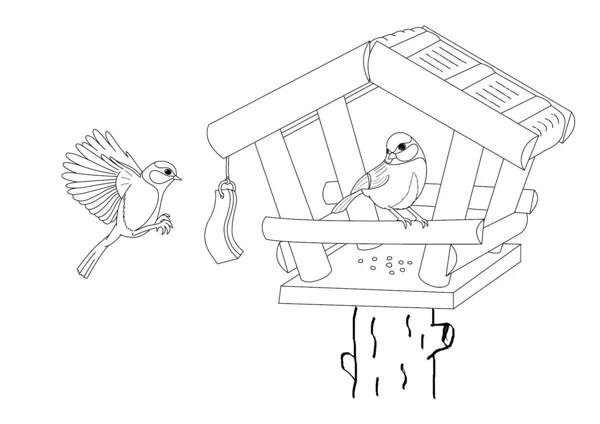 Петух раскраска