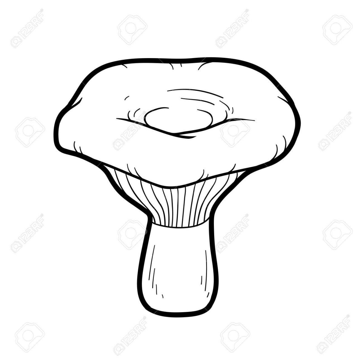 Гриб груздь раскраска