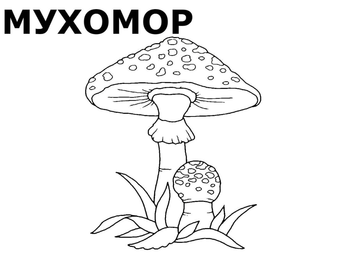 Несъедобные грибы раскраска для детей