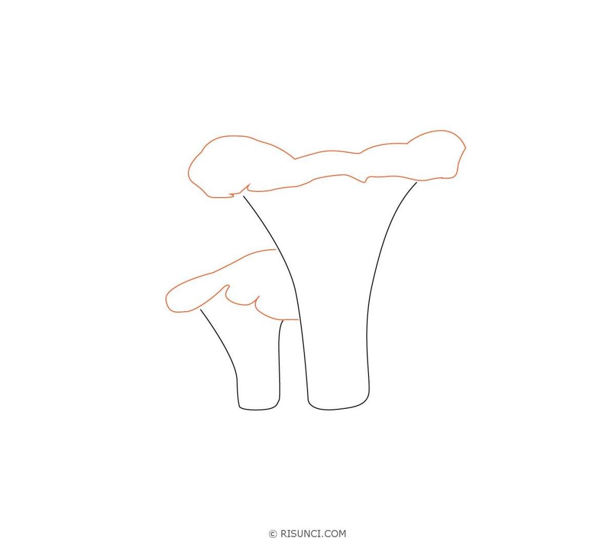 Нарисовать гриб лисичку карандашом поэтапно