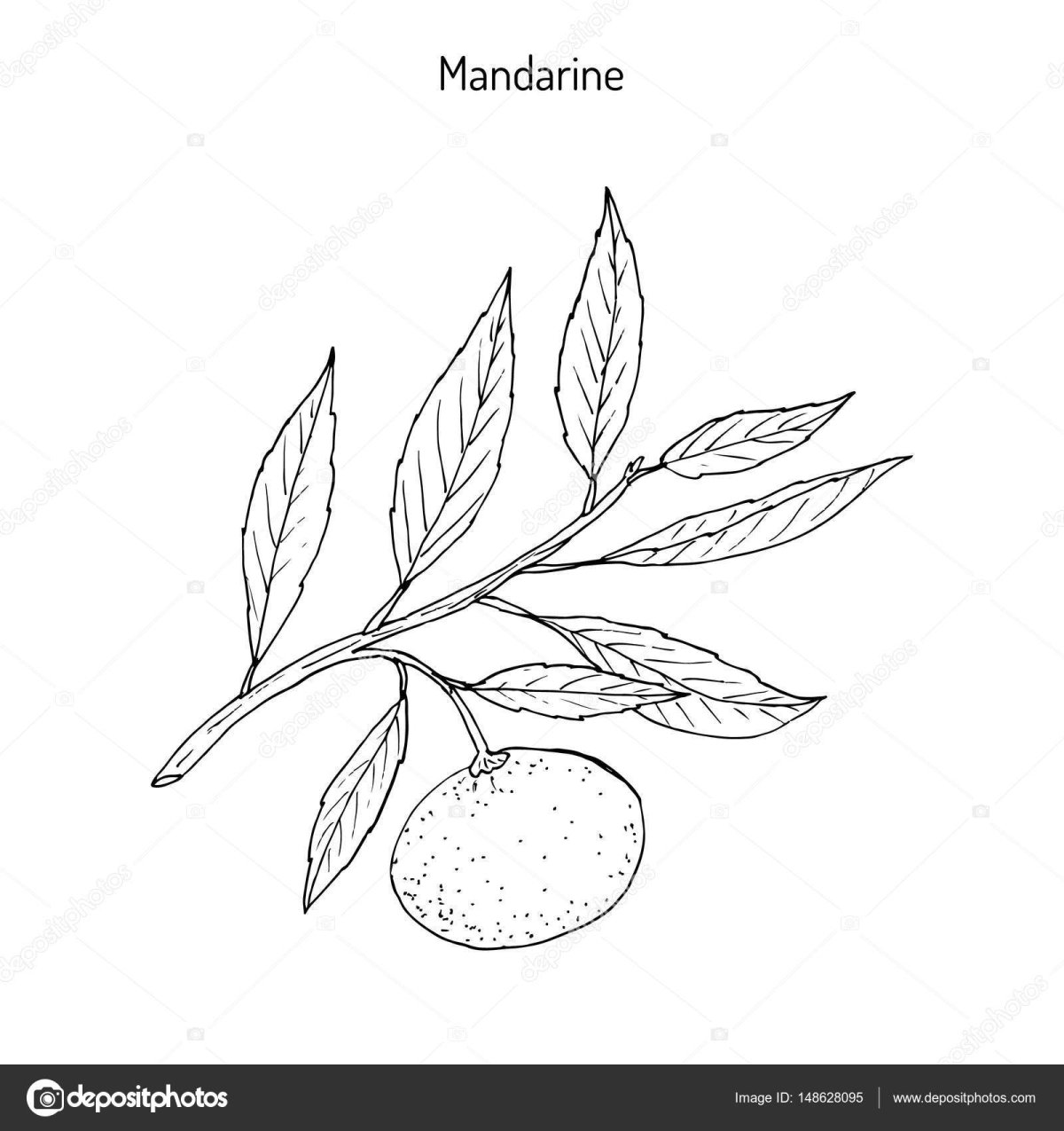 Дерево в горшке раскраска