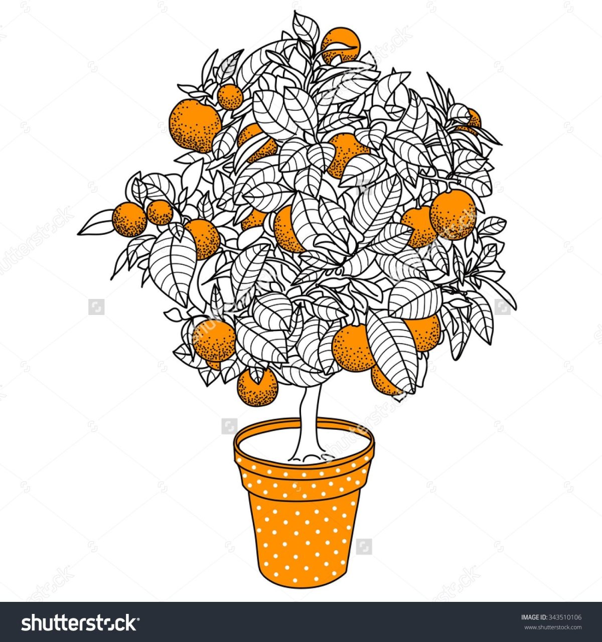 Мандариновое дерево в горшке вектор