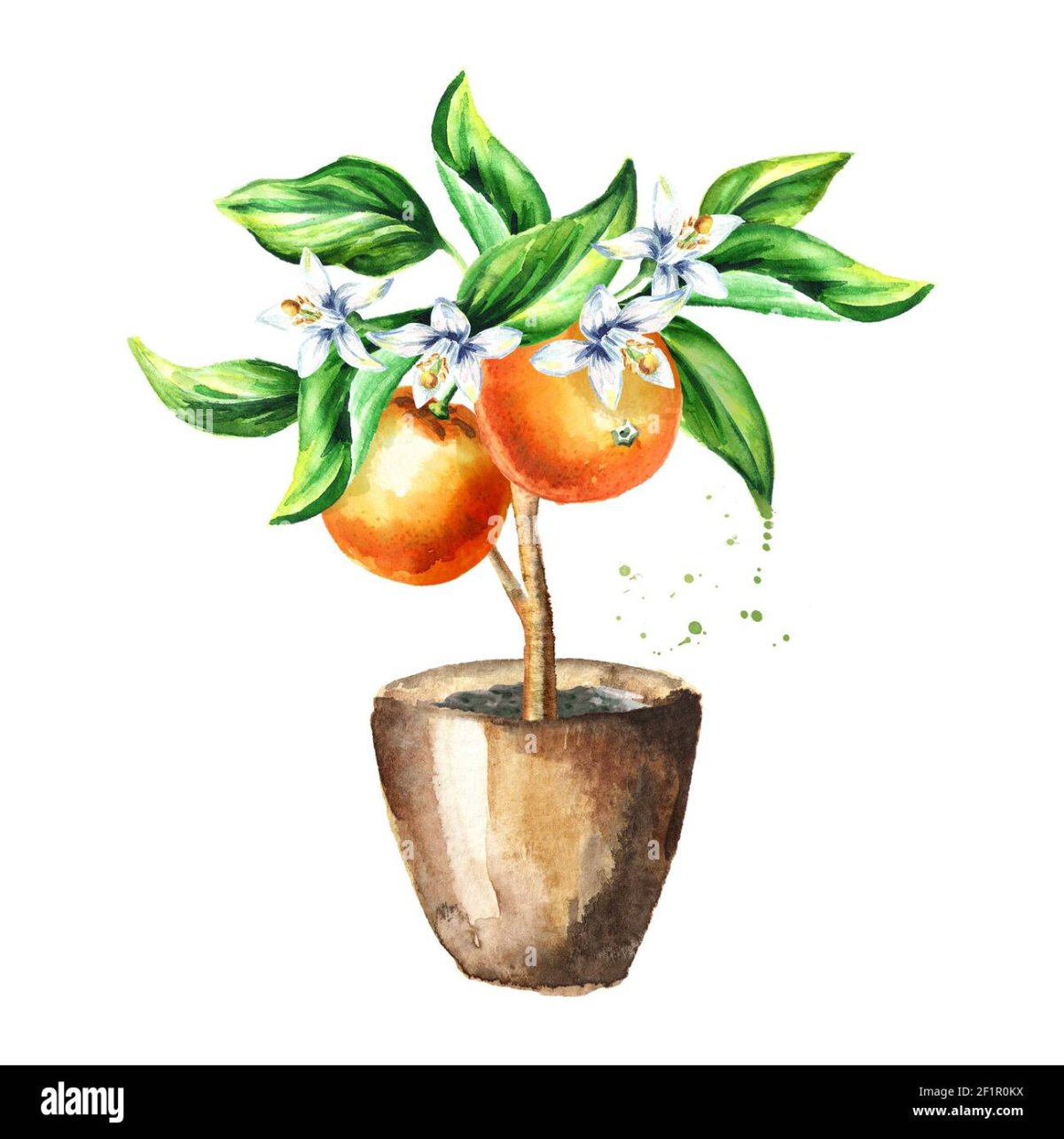 Фрукты и ягоды трафареты