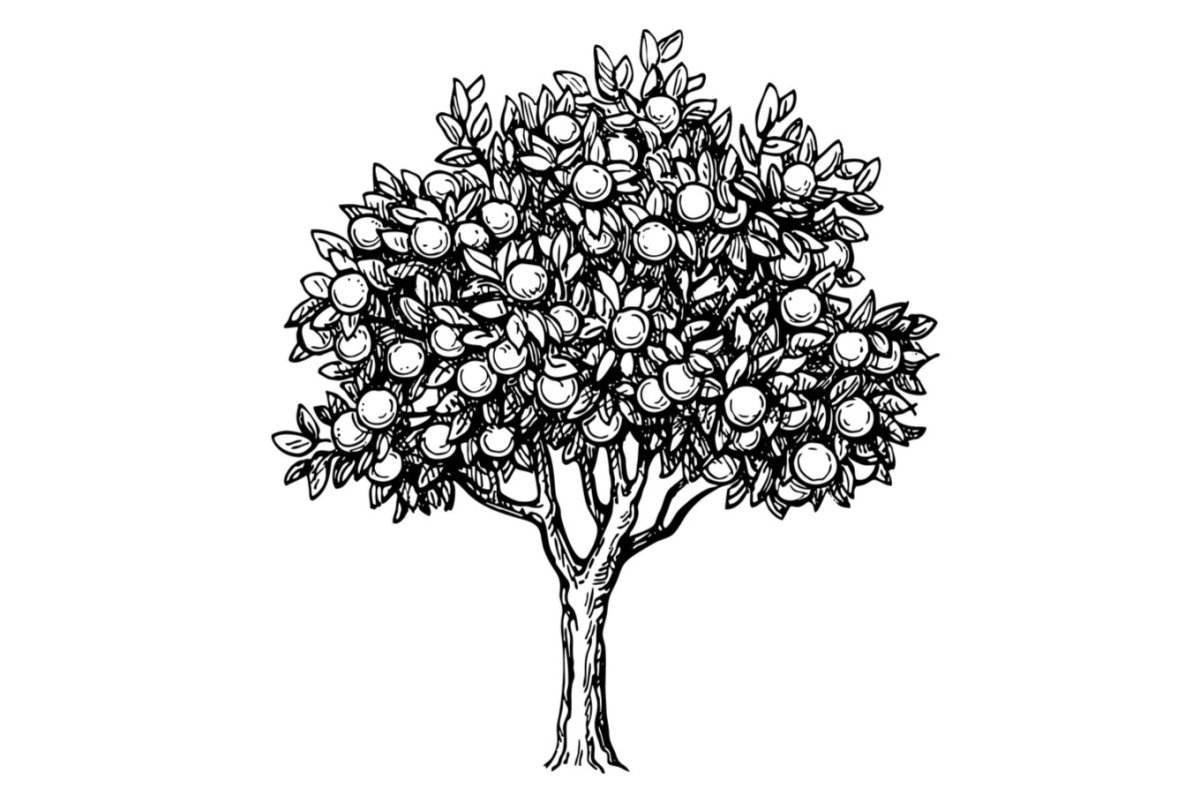 Мандарин листья вектор