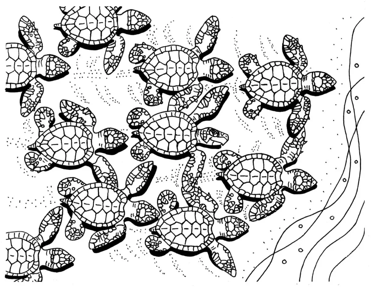 Раскраска черепаха с черепашатами