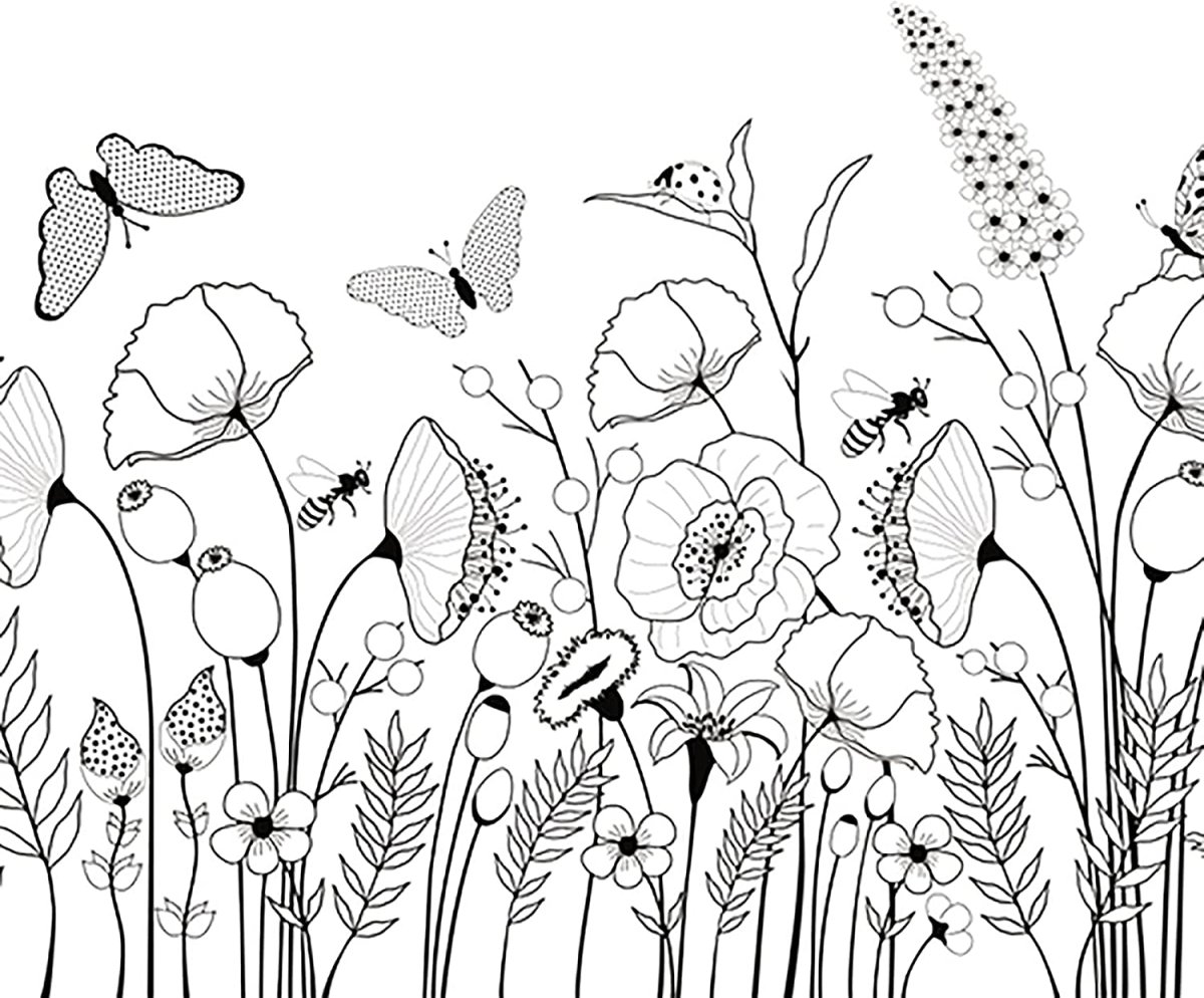 Раскраска. Лето