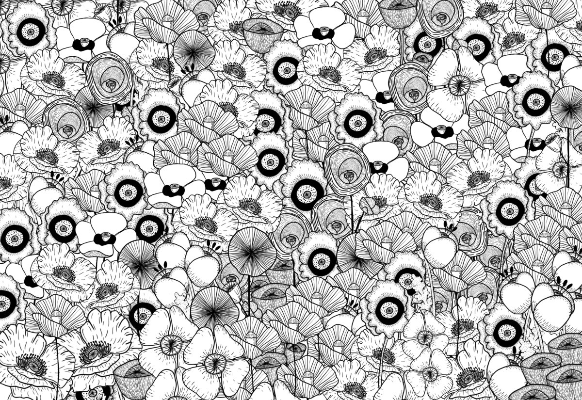 Цветы и бабочки. Раскраска