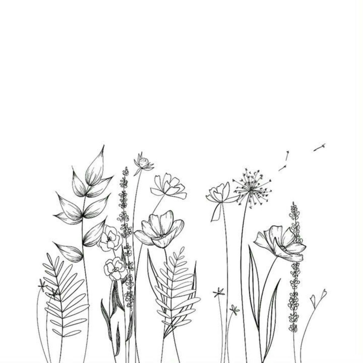 Волшебные цветы. Раскраска