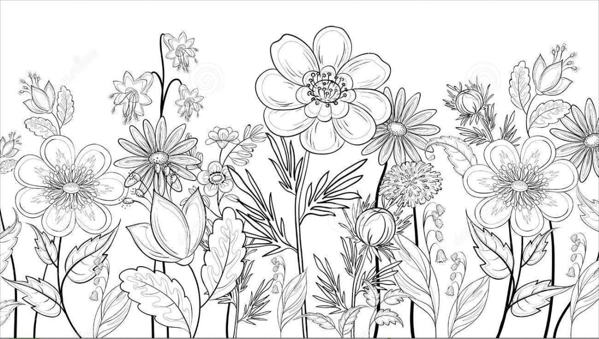 Картинки антистресс цветы в поле