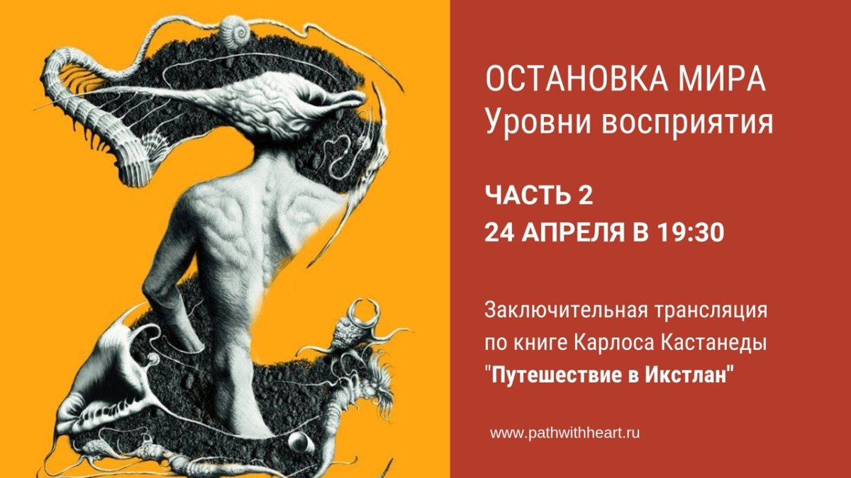 Книги Войнов Кастанеды