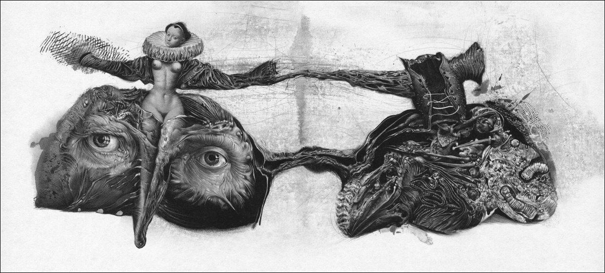 Владислава Ерко художник