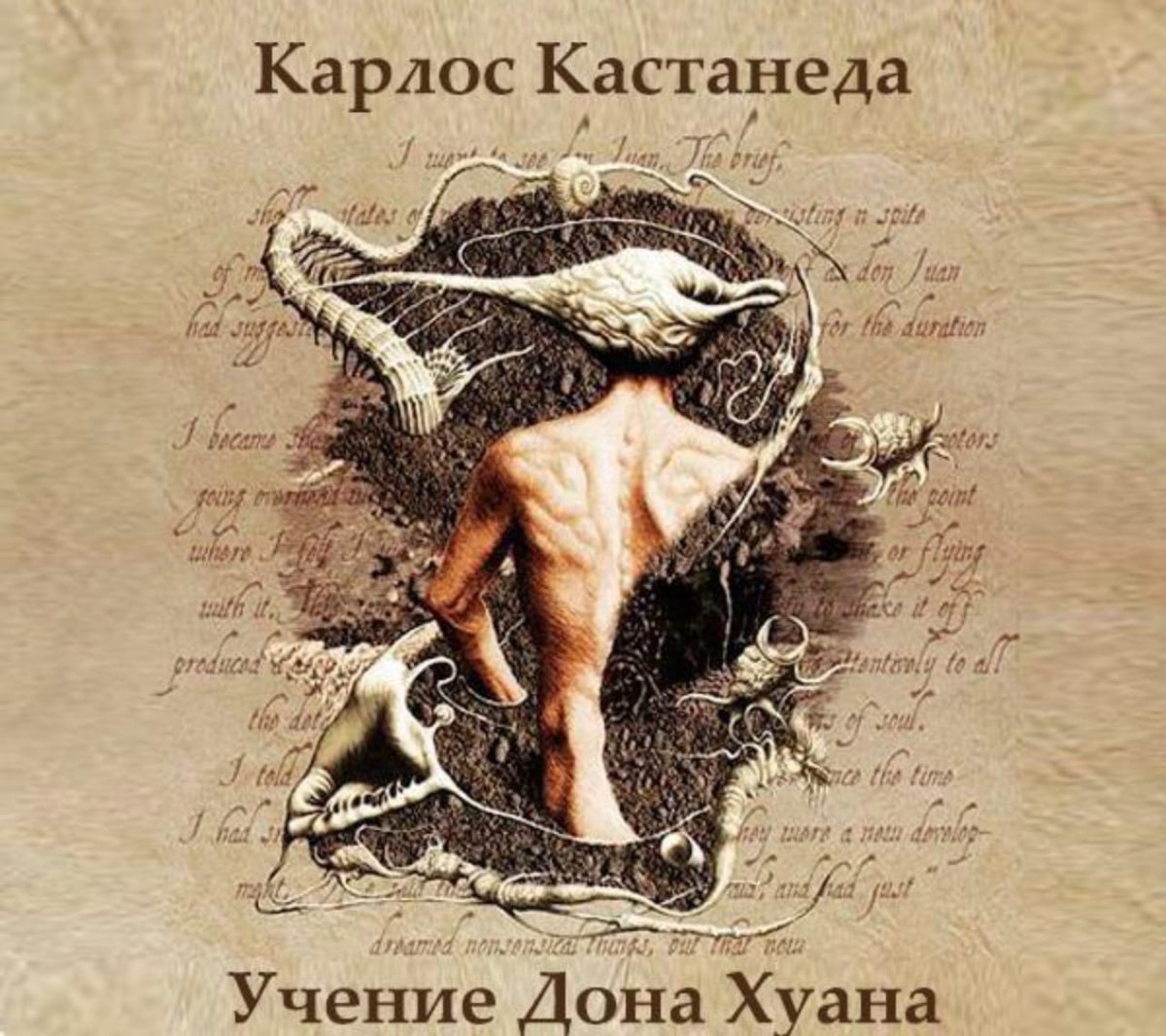 Кастанеда учение Дона