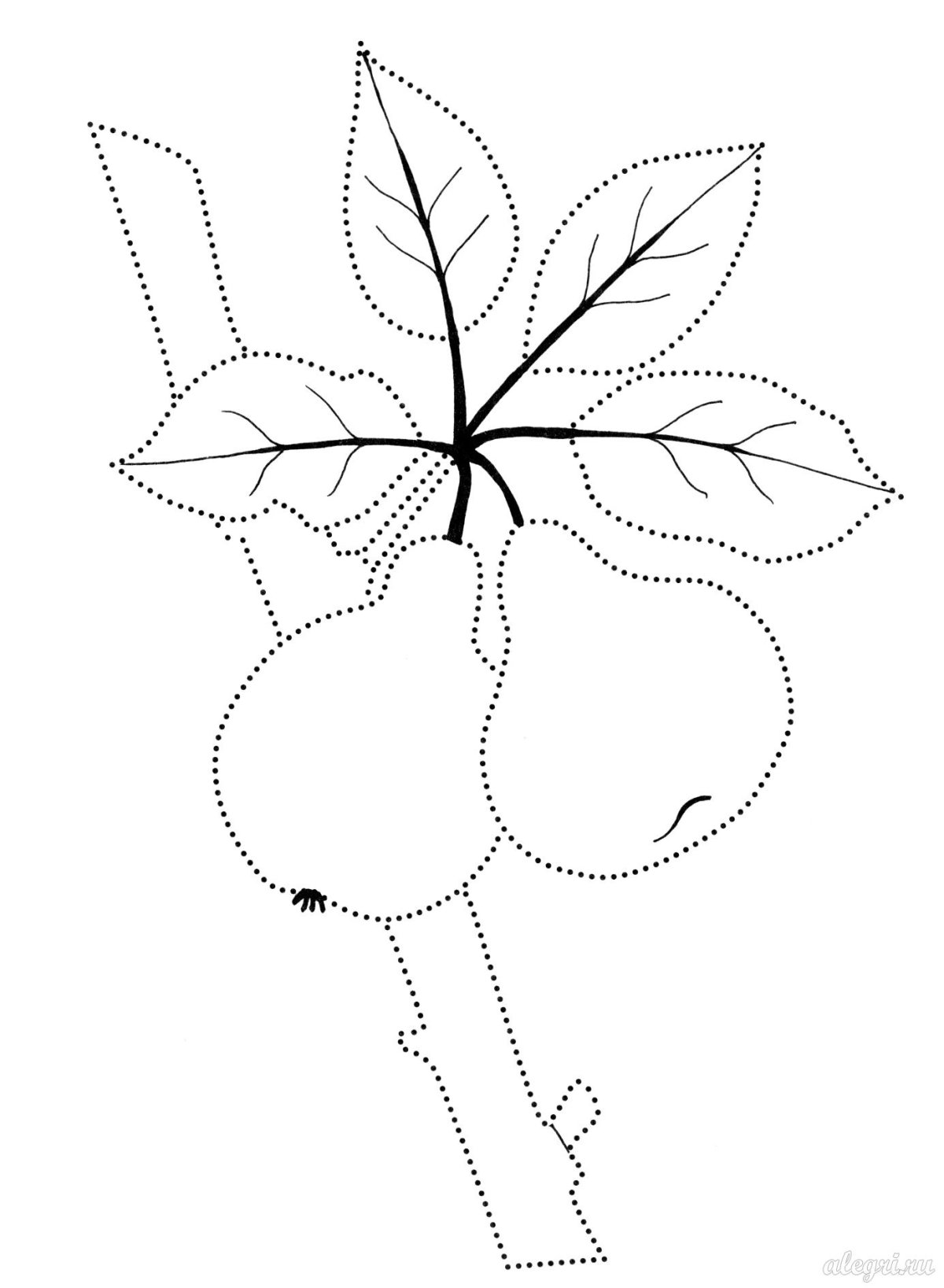 Прикольные раскраски для девочек