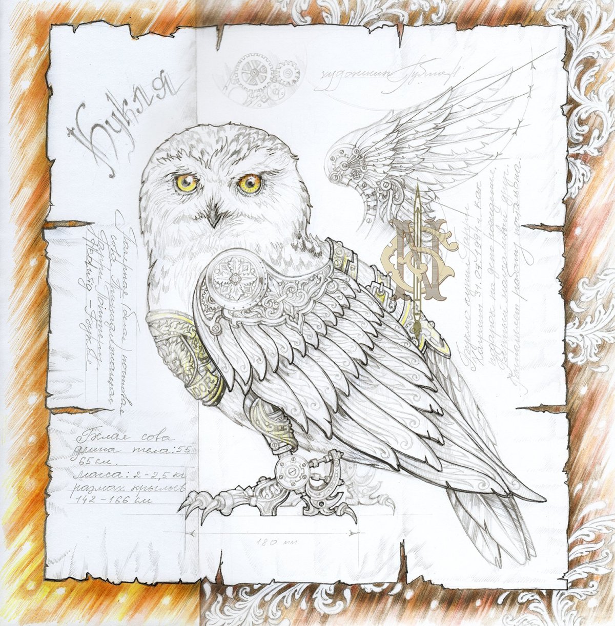 Раскраска Гарри Поттер Букля