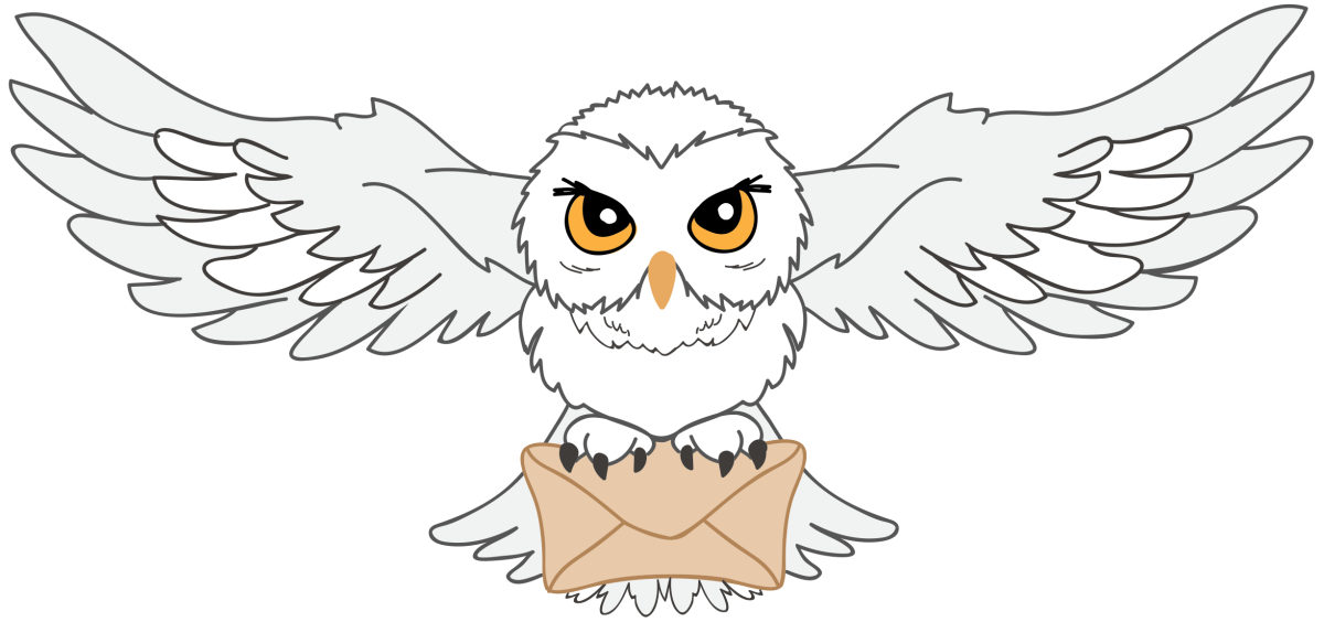 Силуэт Совы с крыльями