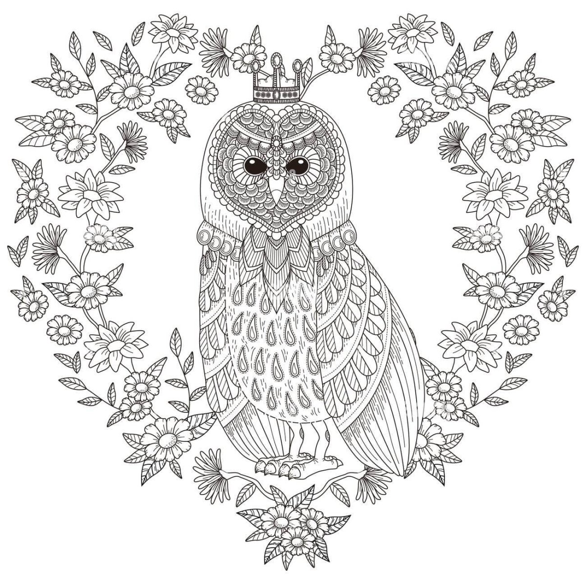 Хедвиг Гарри Поттер арт