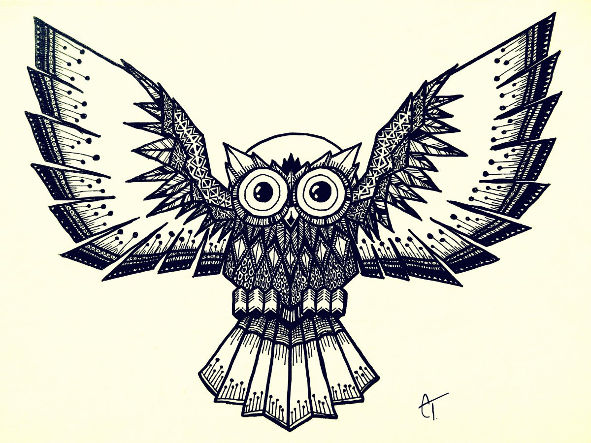 Сова Гарри Поттера Хогвартса Гарри