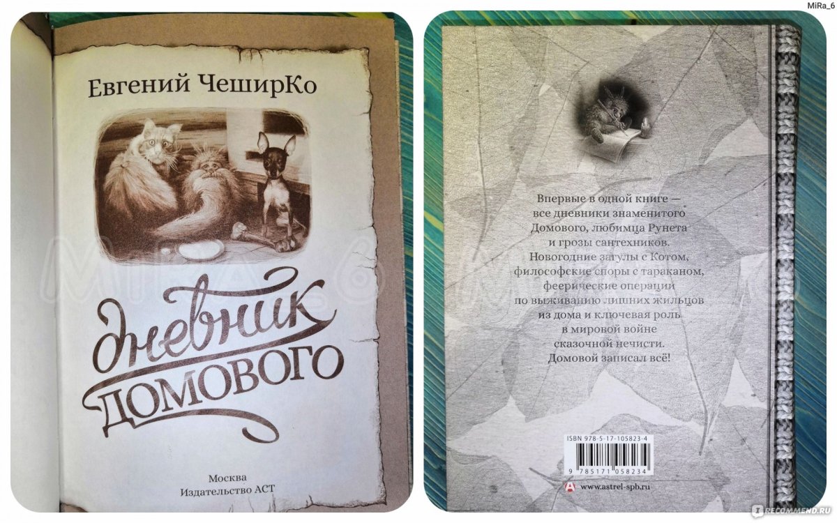 Дневник домового